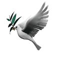 20080615191508-dove-with-olive-branch-md-wht.gif